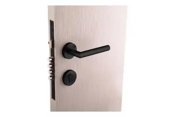 Cerradura dexter chapa alta seguridad alta seguridad negro cilindro 60mm
